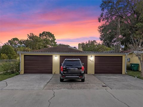 A home in MOUNT DORA