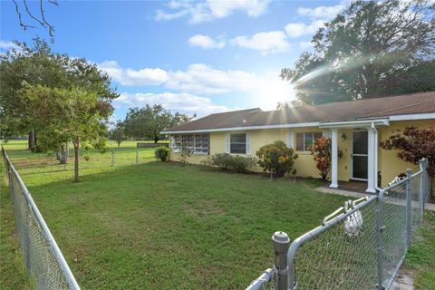 A home in MOUNT DORA