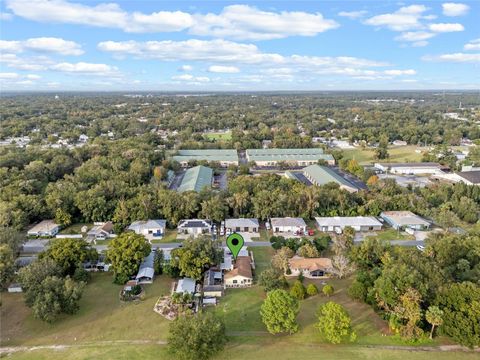 A home in MOUNT DORA