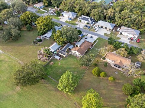 A home in MOUNT DORA