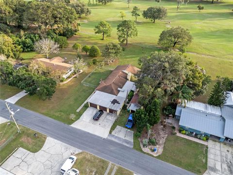 A home in MOUNT DORA