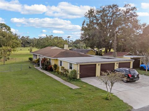 A home in MOUNT DORA