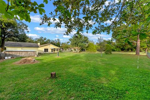 A home in MOUNT DORA