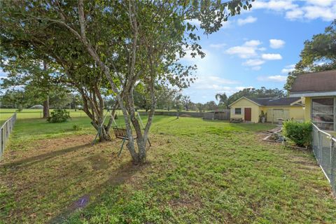 A home in MOUNT DORA