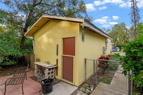 A home in MOUNT DORA