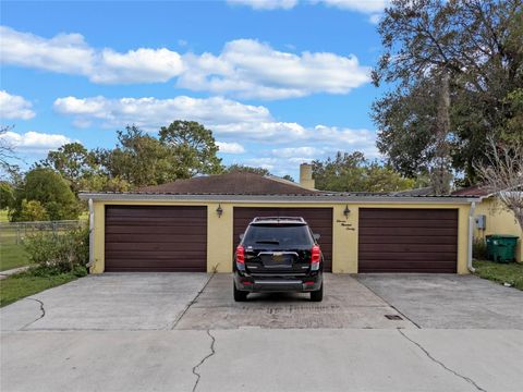 A home in MOUNT DORA