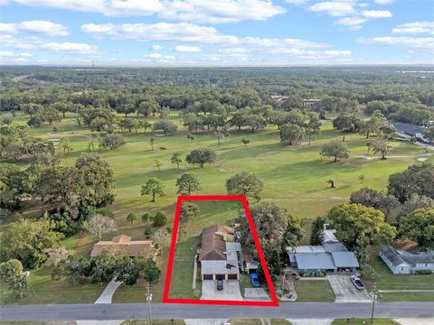 A home in MOUNT DORA