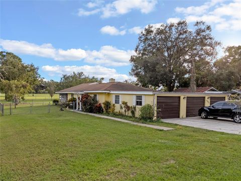 A home in MOUNT DORA