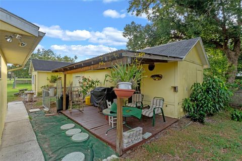 A home in MOUNT DORA