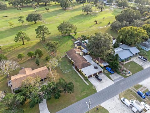 A home in MOUNT DORA