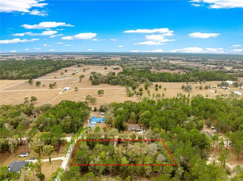 Tiny photo for 4551 SW 129th Court, Ocala, FL 34481 (MLS # OM719967)