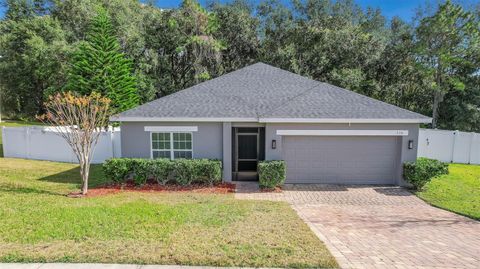 Photo of 116 Islabella Way, Groveland, FL 34736 (MLS # O6373422)