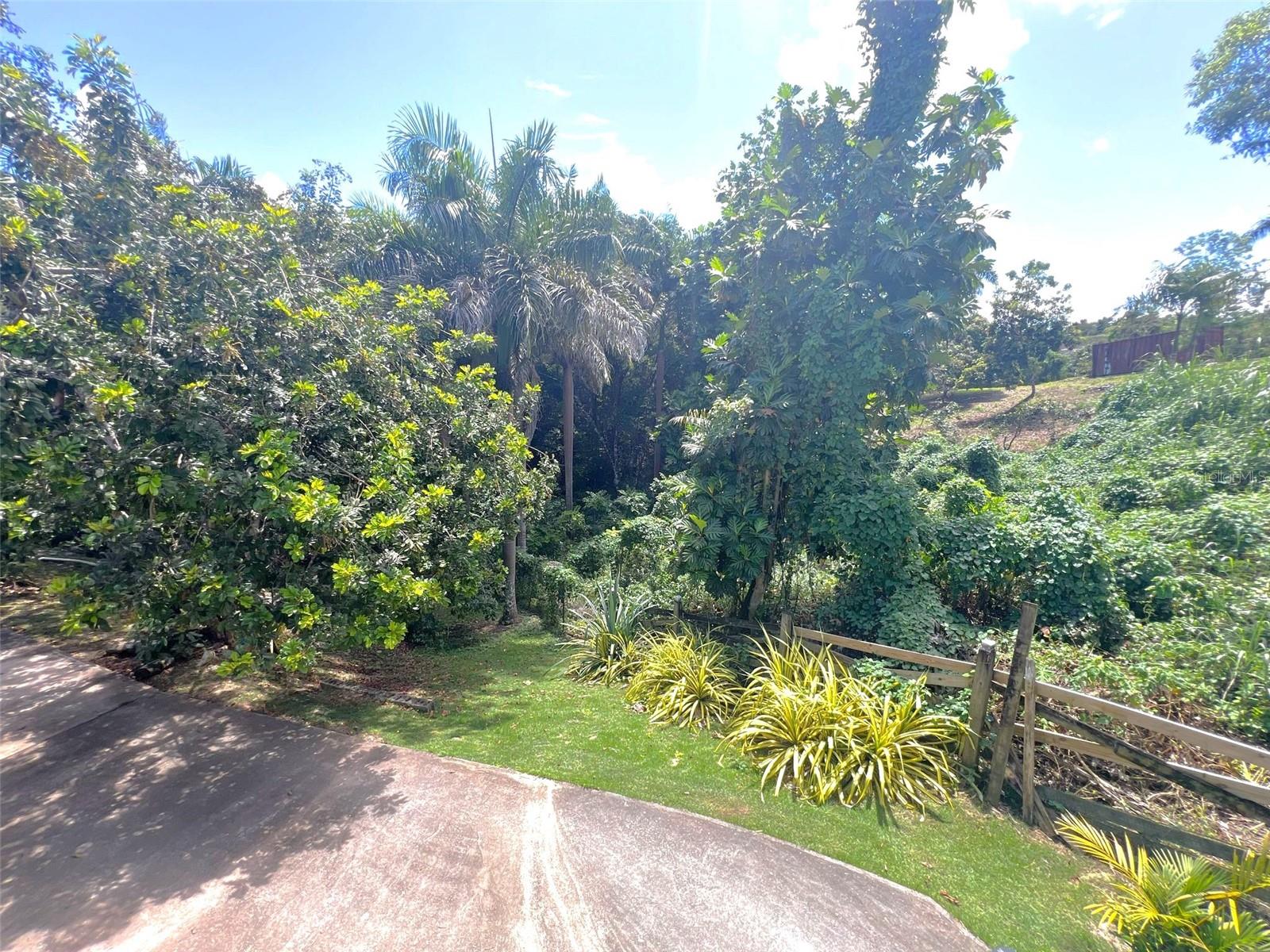 DORADO - Residential