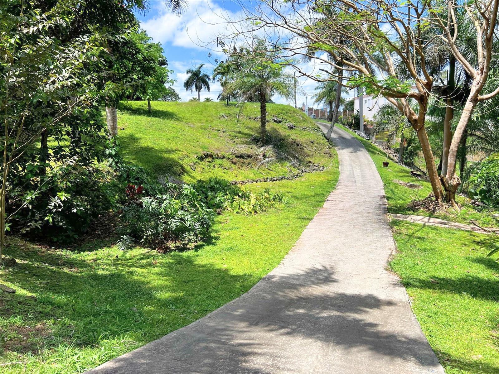 DORADO - Residential