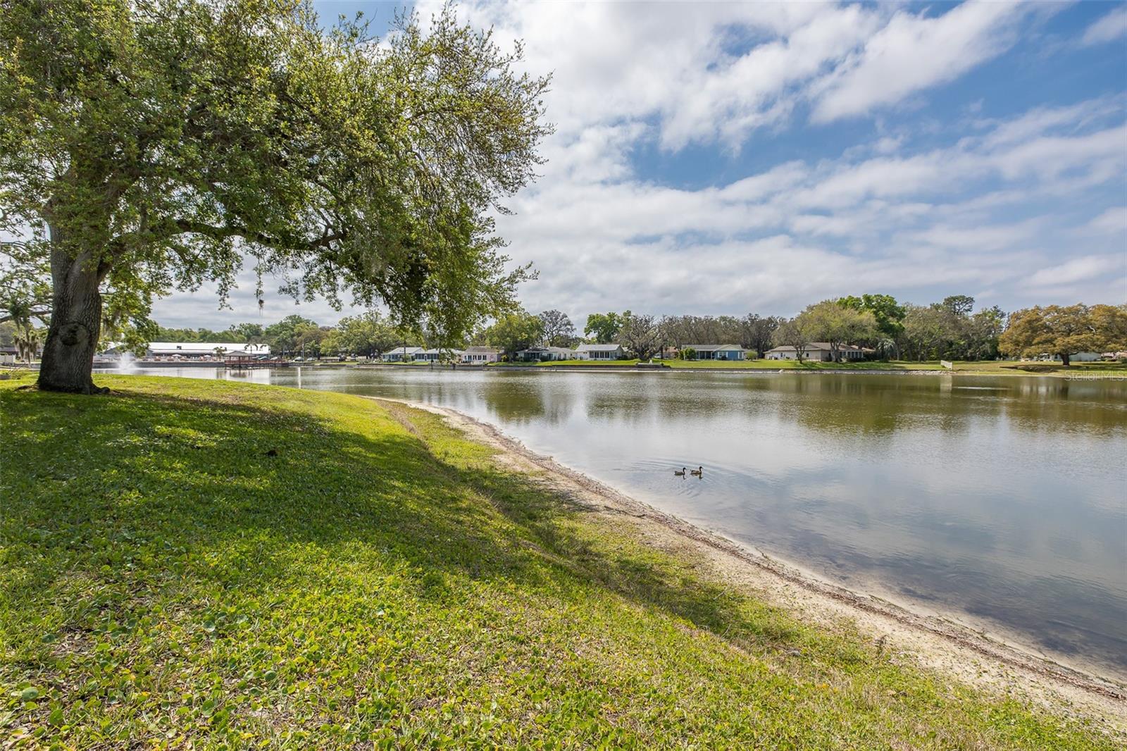TIMBER OAKS - Residential