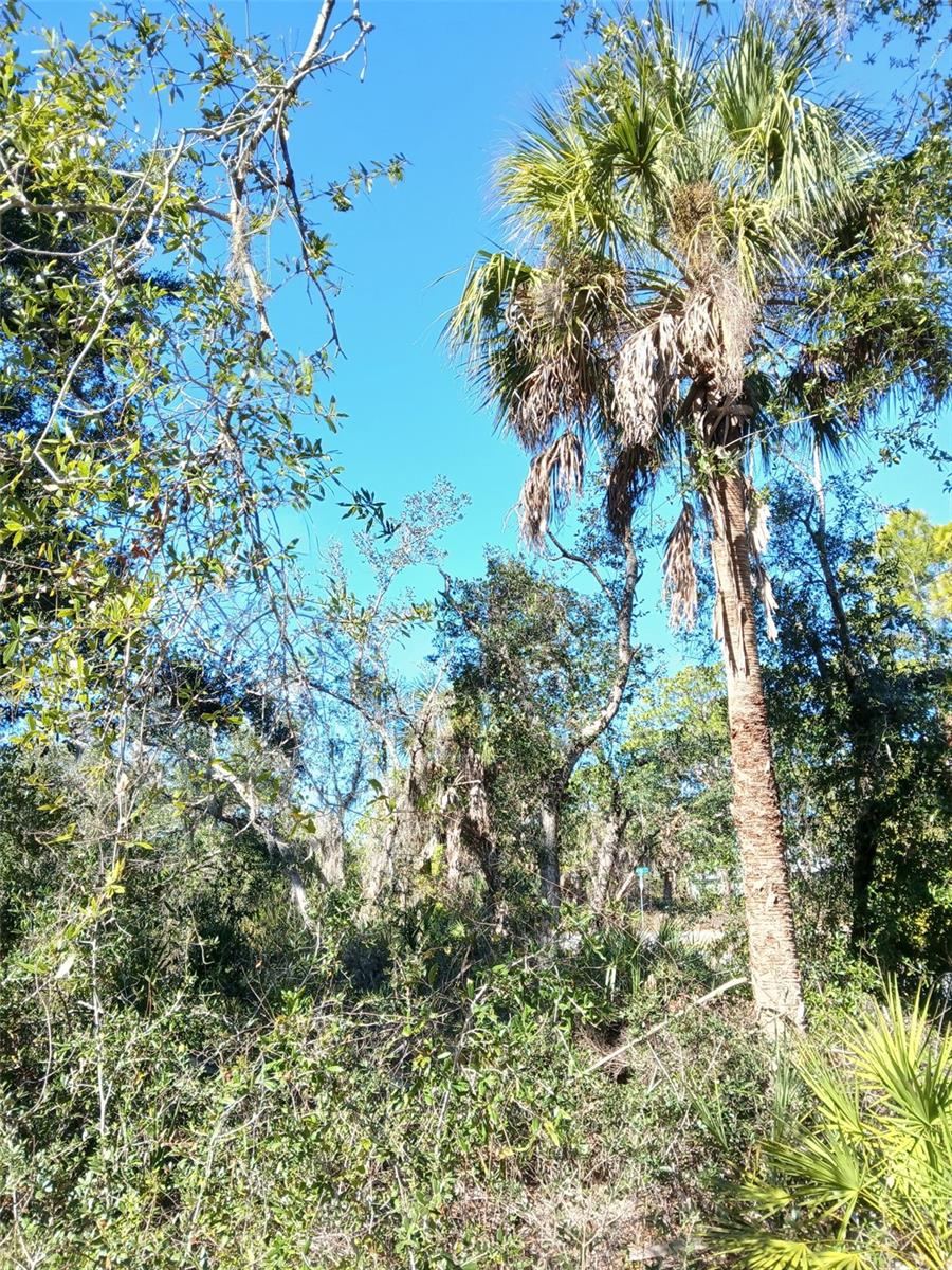 PORT CHARLOTTE SEC 049 - Land