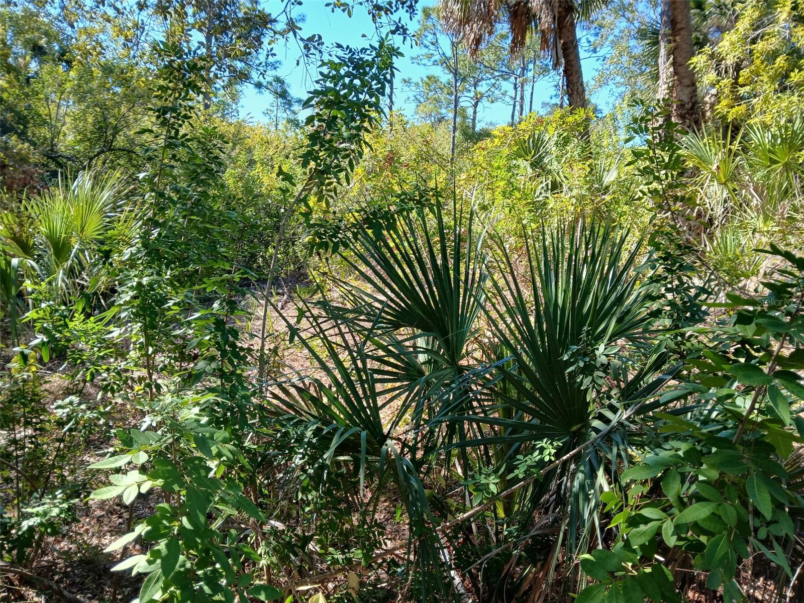 PORT CHARLOTTE SEC 049 - Land