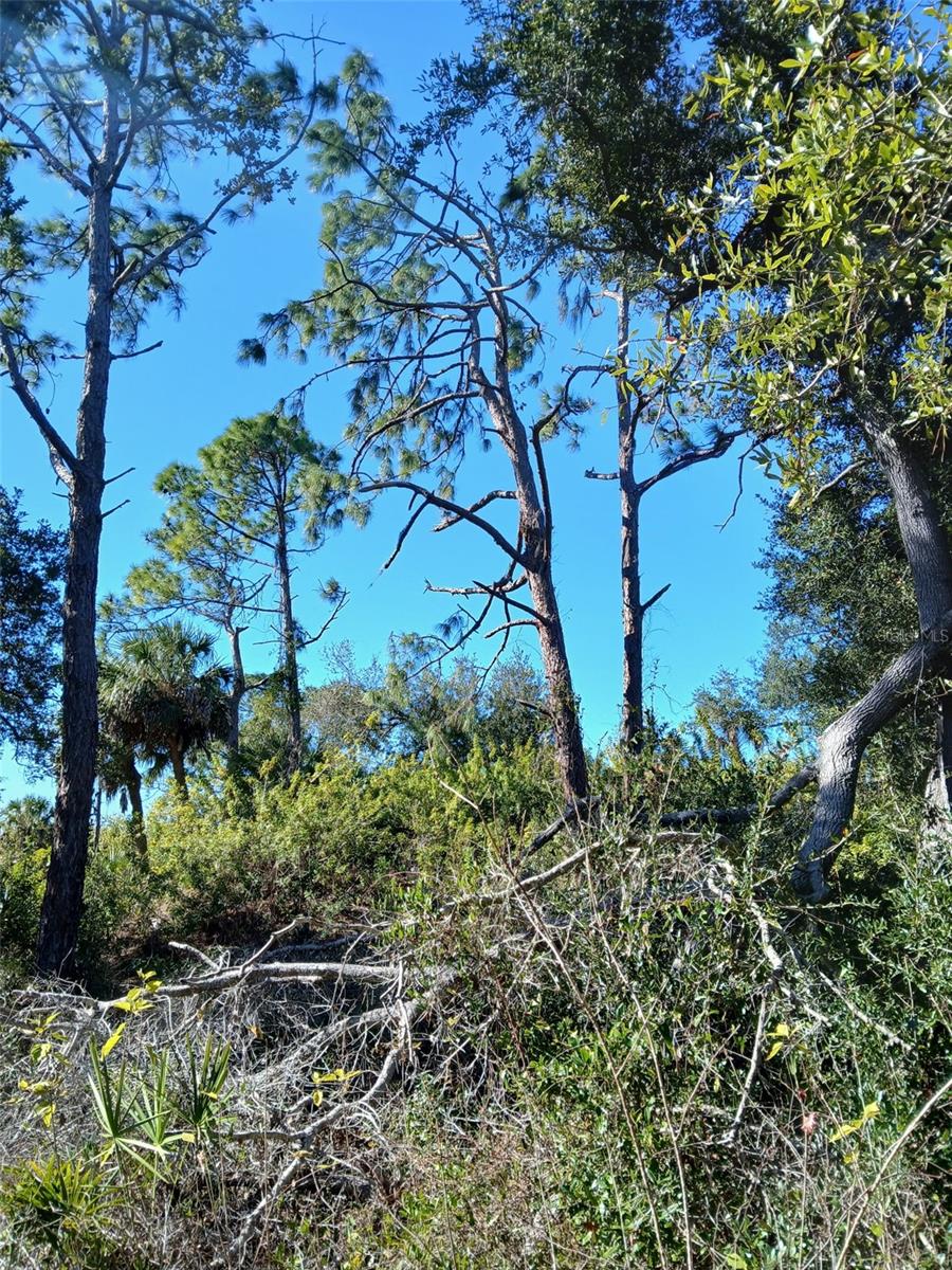 PORT CHARLOTTE SEC 049 - Land