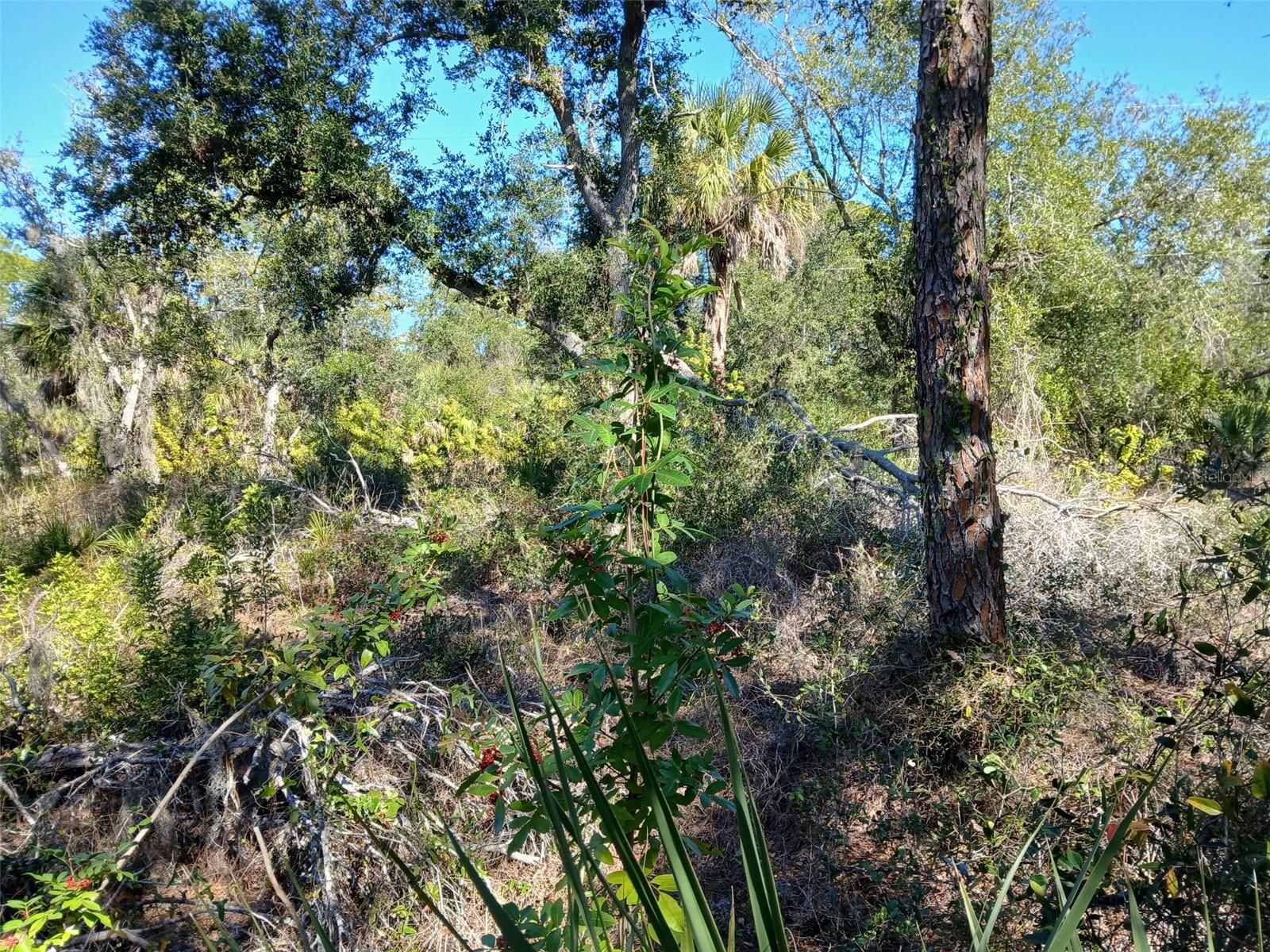 PORT CHARLOTTE SEC 049 - Land