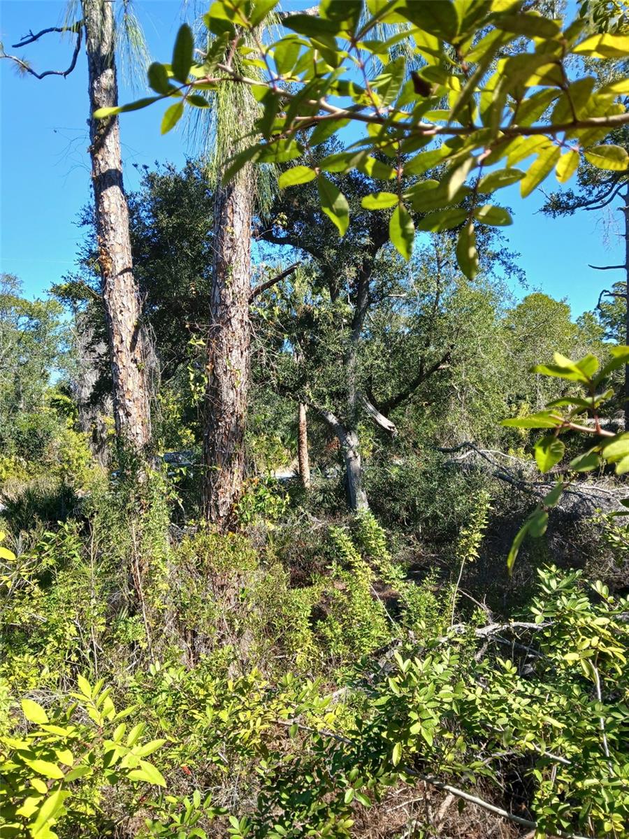 PORT CHARLOTTE SEC 049 - Land