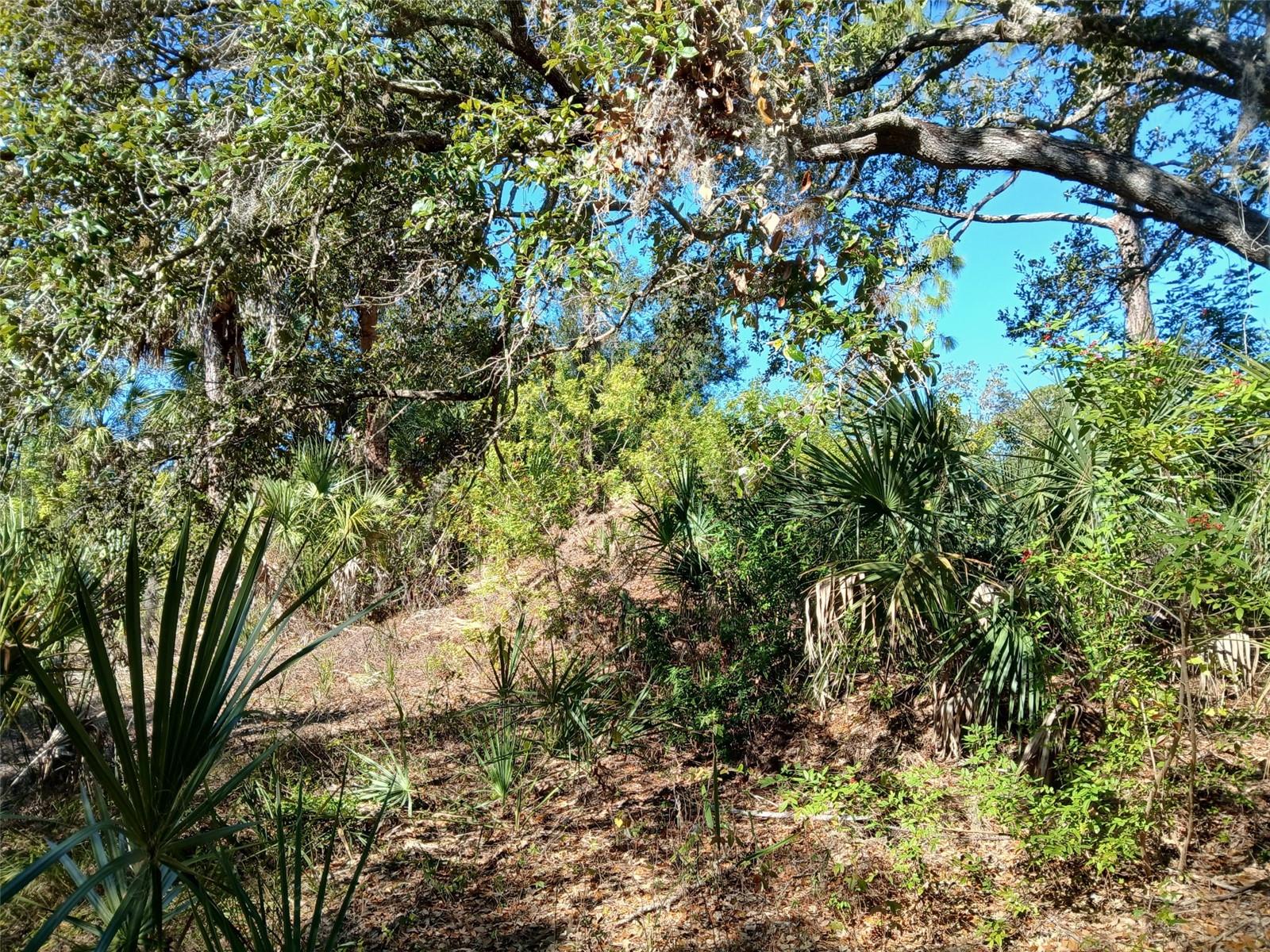 PORT CHARLOTTE SEC 049 - Land