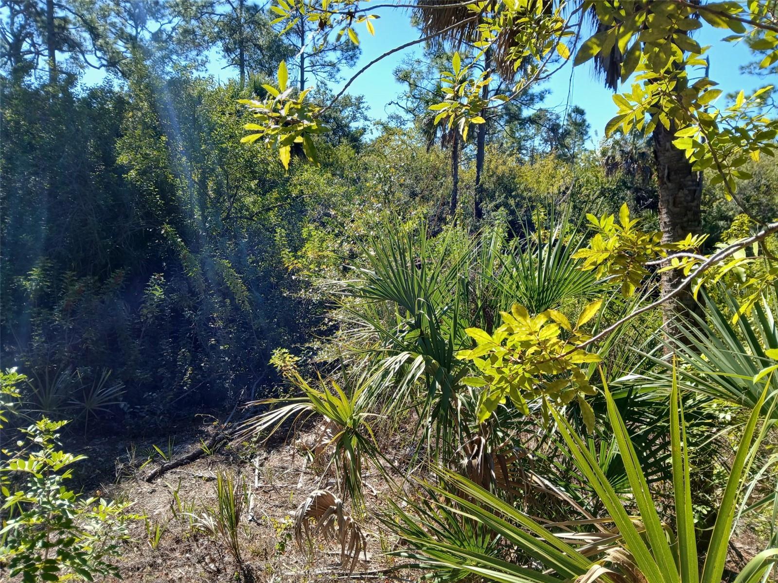 PORT CHARLOTTE SEC 049 - Land