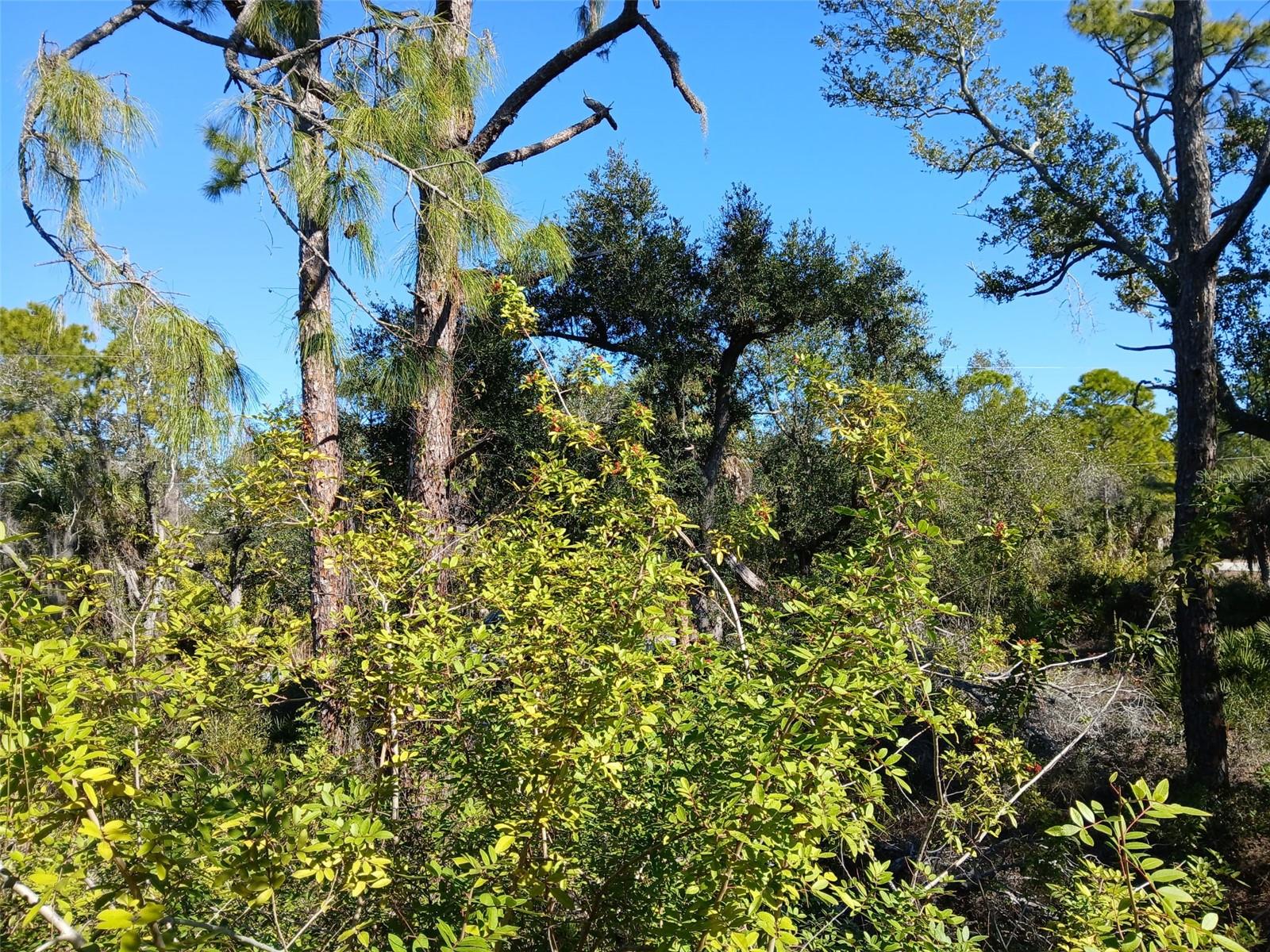 PORT CHARLOTTE SEC 049 - Land