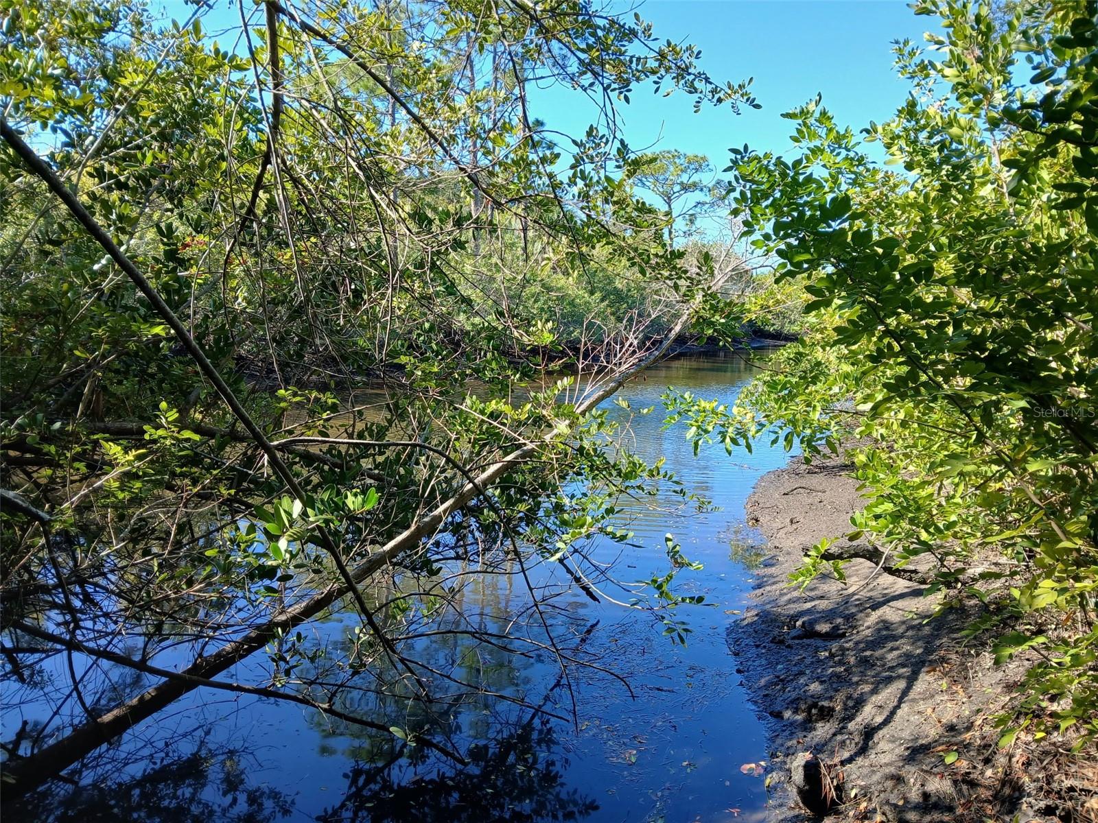 13493 MARKHAM AVENUE