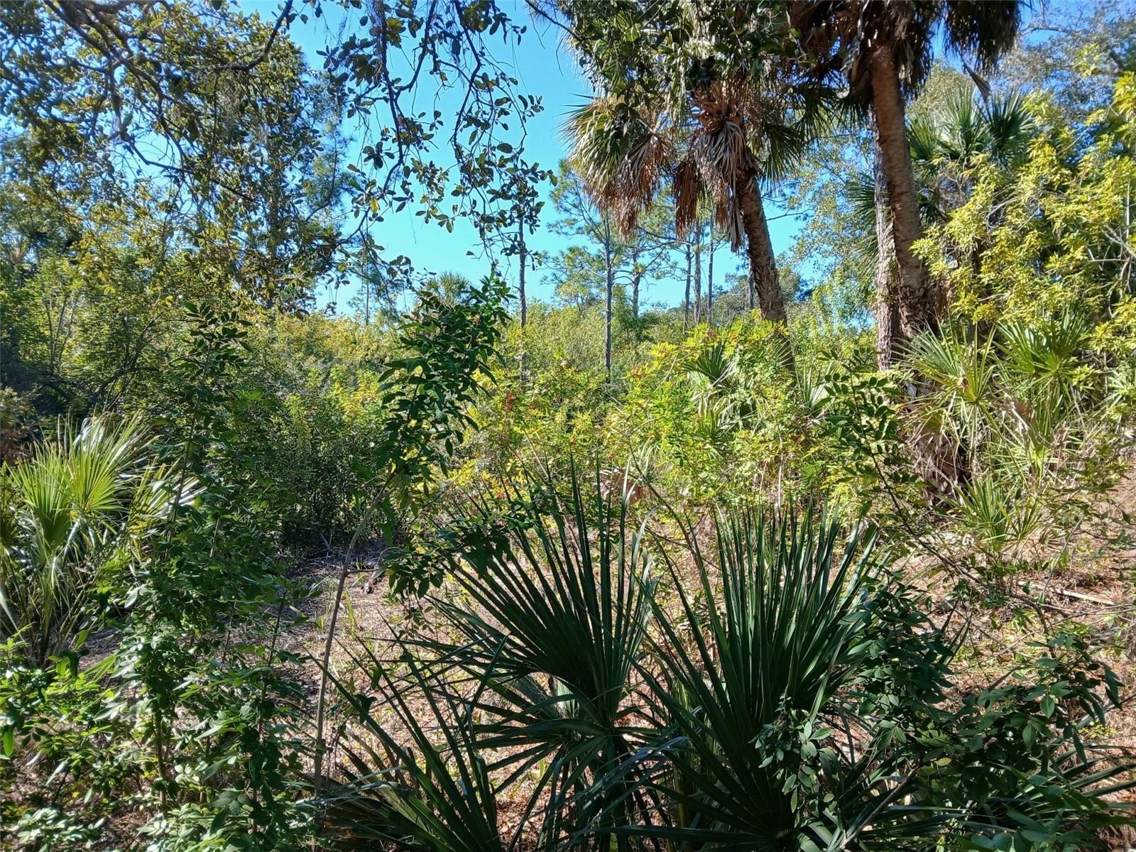 PORT CHARLOTTE SEC 049 - Land