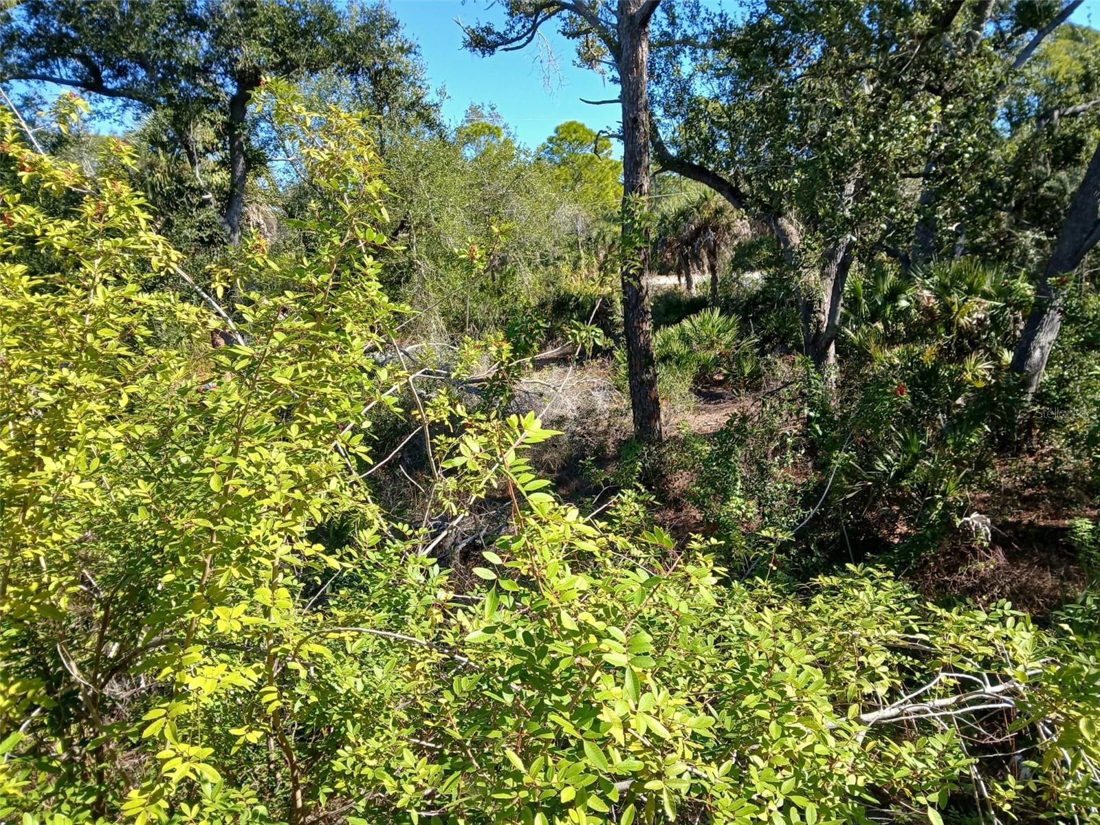 PORT CHARLOTTE SEC 049 - Land