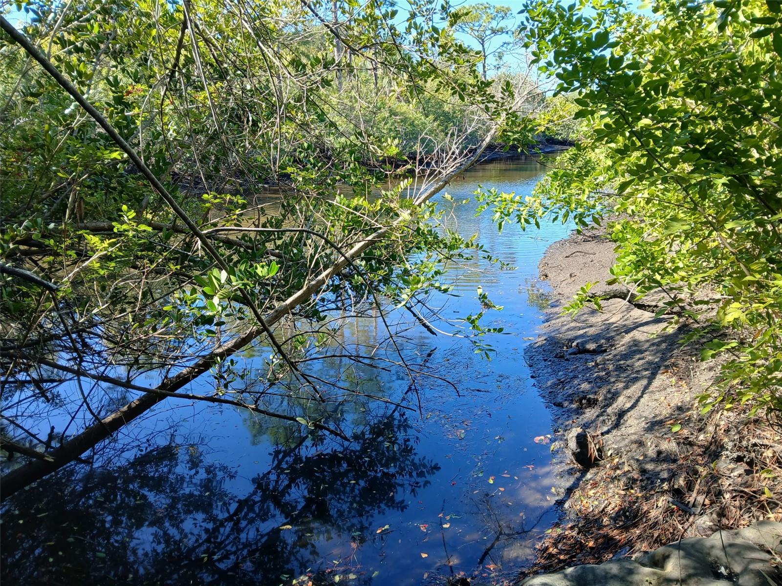 13493 MARKHAM AVENUE