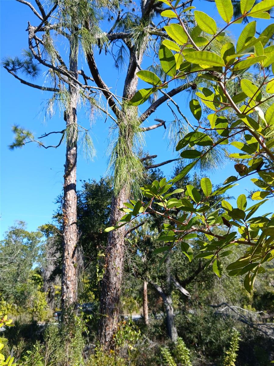 PORT CHARLOTTE SEC 049 - Land