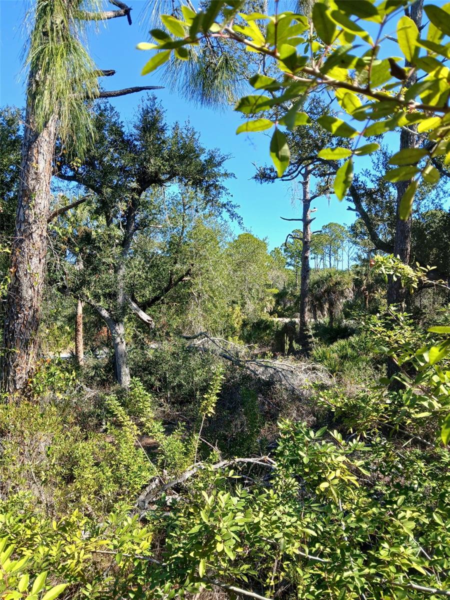 PORT CHARLOTTE SEC 049 - Land