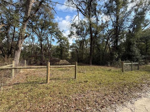 Photo of 255 SE 917 Street, Old Town, FL 32680 (MLS # GC536402)