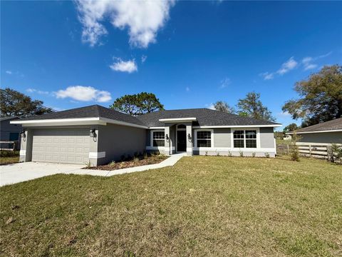 9869 SE 157TH LANE SUMMERFIELD FL 34491