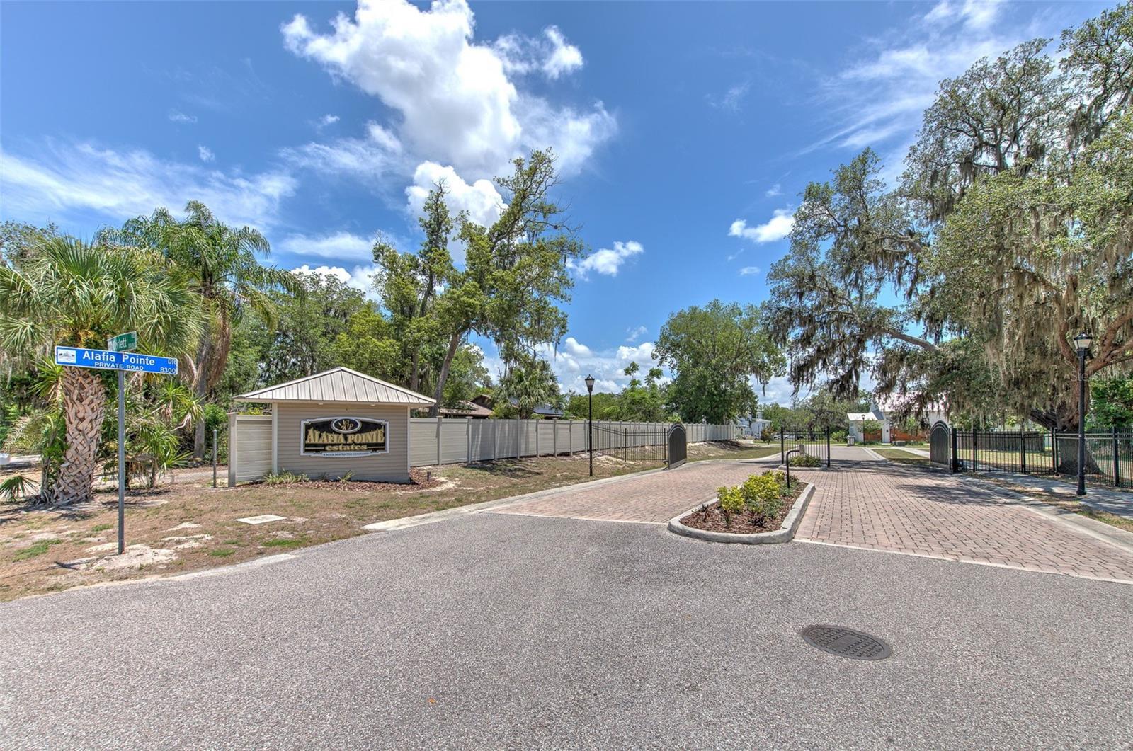 8325 ALAFIA POINTE DRIVE