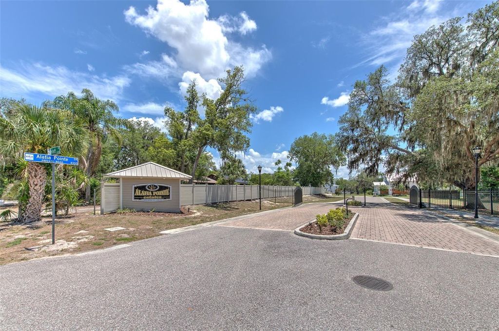Photo of 8325 Alafia Pointe Drive, Riverview, FL 33578 (MLS # TB8507324)