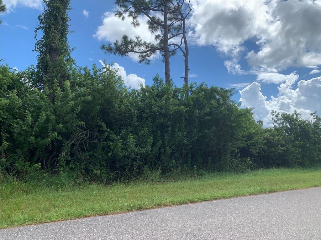 Photo of 5594 Norlander Drive, Port Charlotte, FL 33981 (MLS # C7515807)