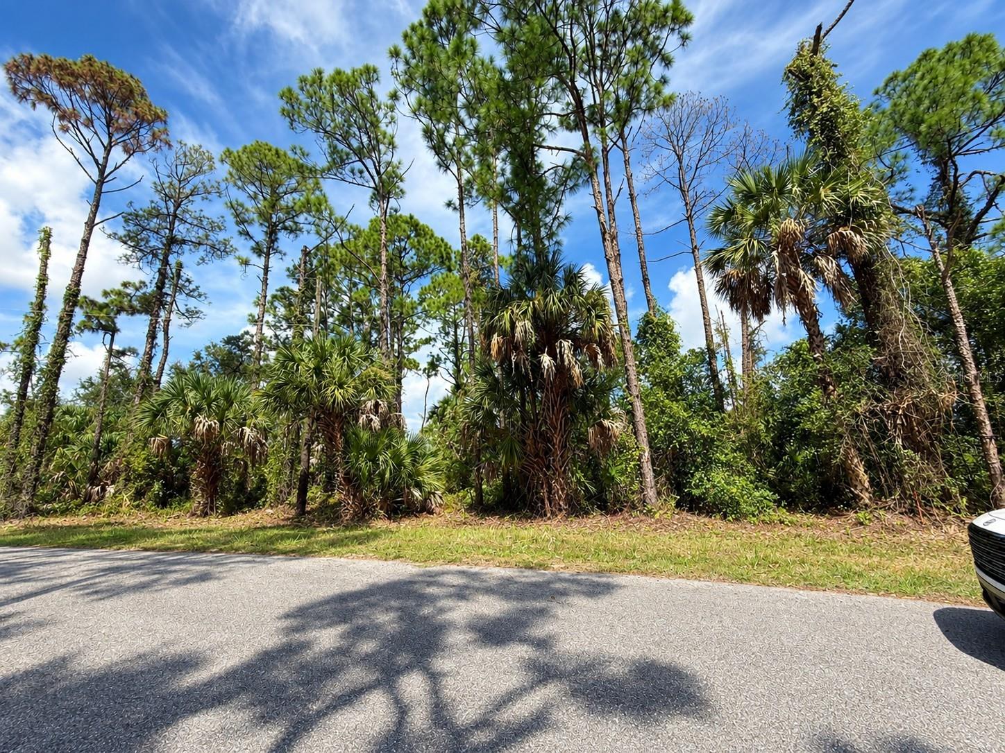 LUTZ ROAD