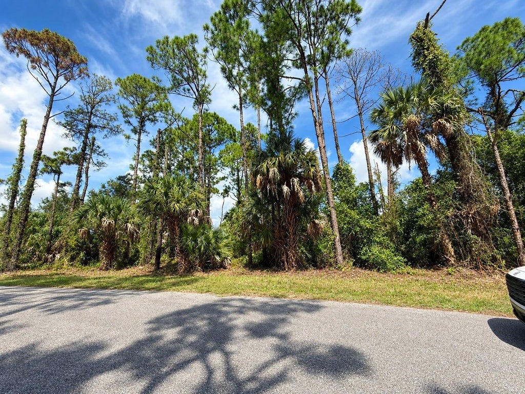 Photo of Lutz Road, North Port, FL 34286 (MLS # C7531030)