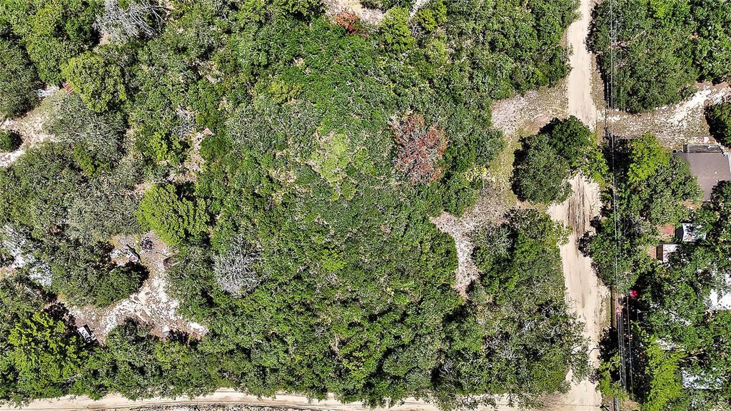 Photo of 0 SE 197th Avenue, Ocklawaha, FL 32179 (MLS # TB8402610)