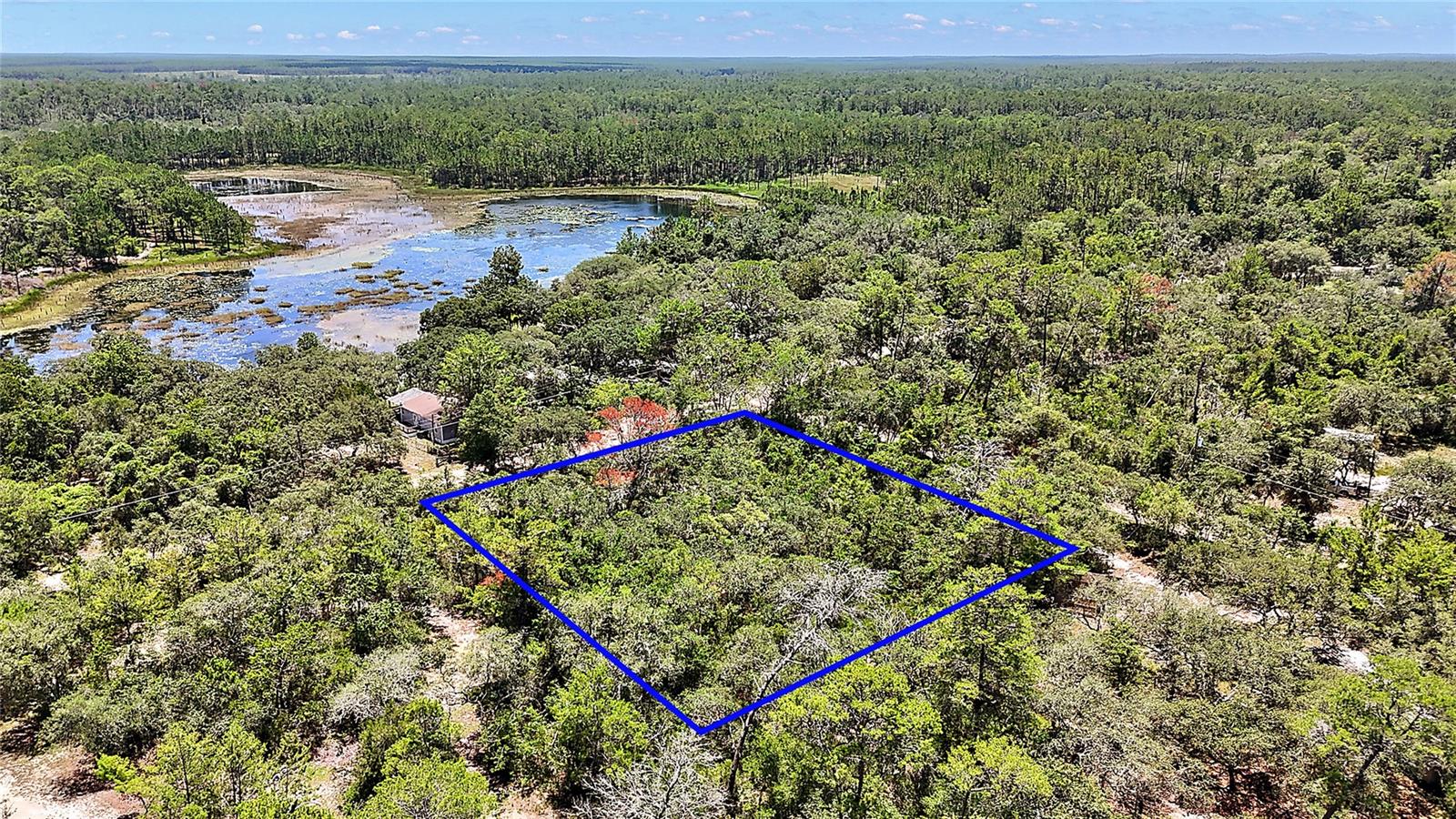 Don’t miss this beautiful corner lot located at SE 94th Place and SE 197th Ave, right across the street from Big Steep Lake and just behind Forest Lakes Park. This parcel offers a peaceful, NO FLOOD ZONE and rural setting with minimal trees—perfect for building your dream home or getaway. Enjoy the natural beauty of the area while staying close to recreational opportunities like fishing, kayaking, and hiking. Dirt road access adds to the quiet charm, with an annual road maintenance fee of just $25. For easy GPS directions, use the nearby address: 9297 SE 197th Ave. Whether you're looking for a weekend escape or a future homesite, this affordable property offers both value and location.