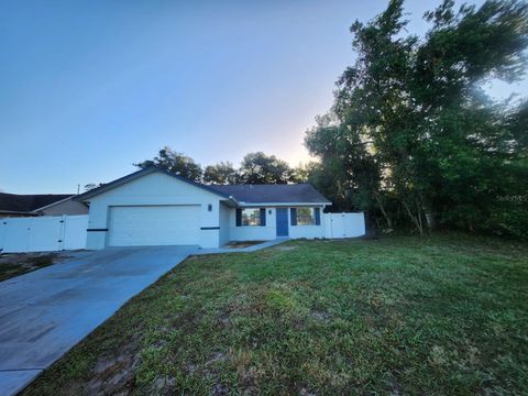 A home in DELTONA