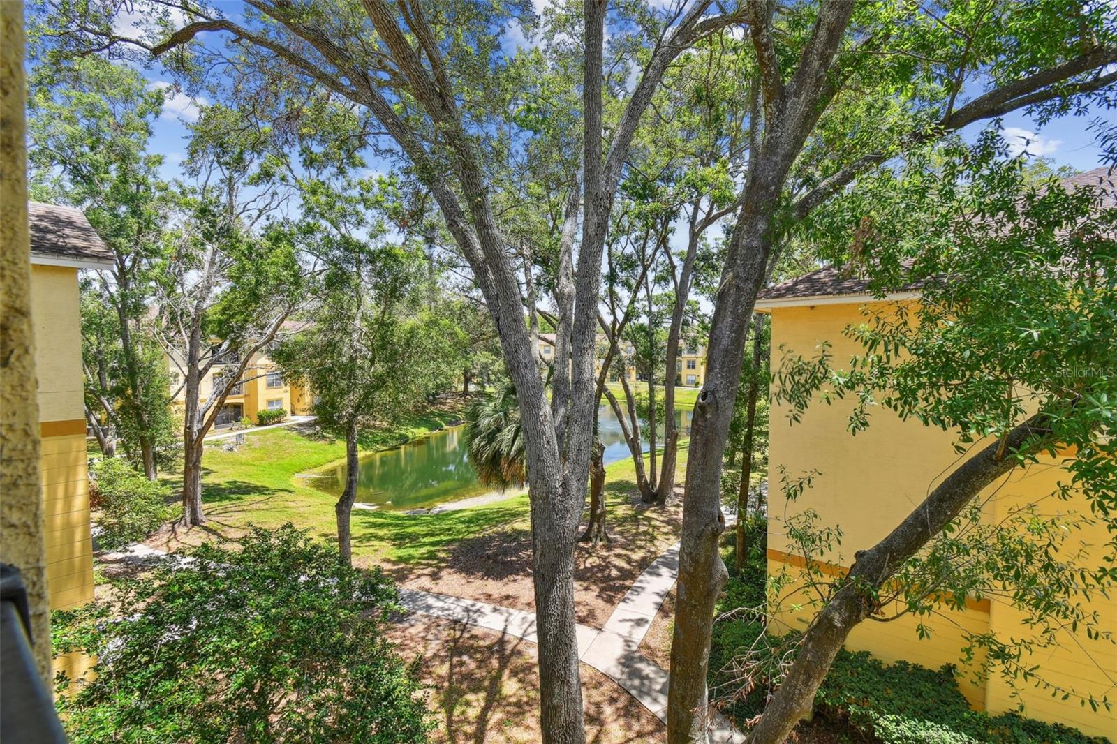 THE PINNACLE AT CARROLLWOOD A - Residential