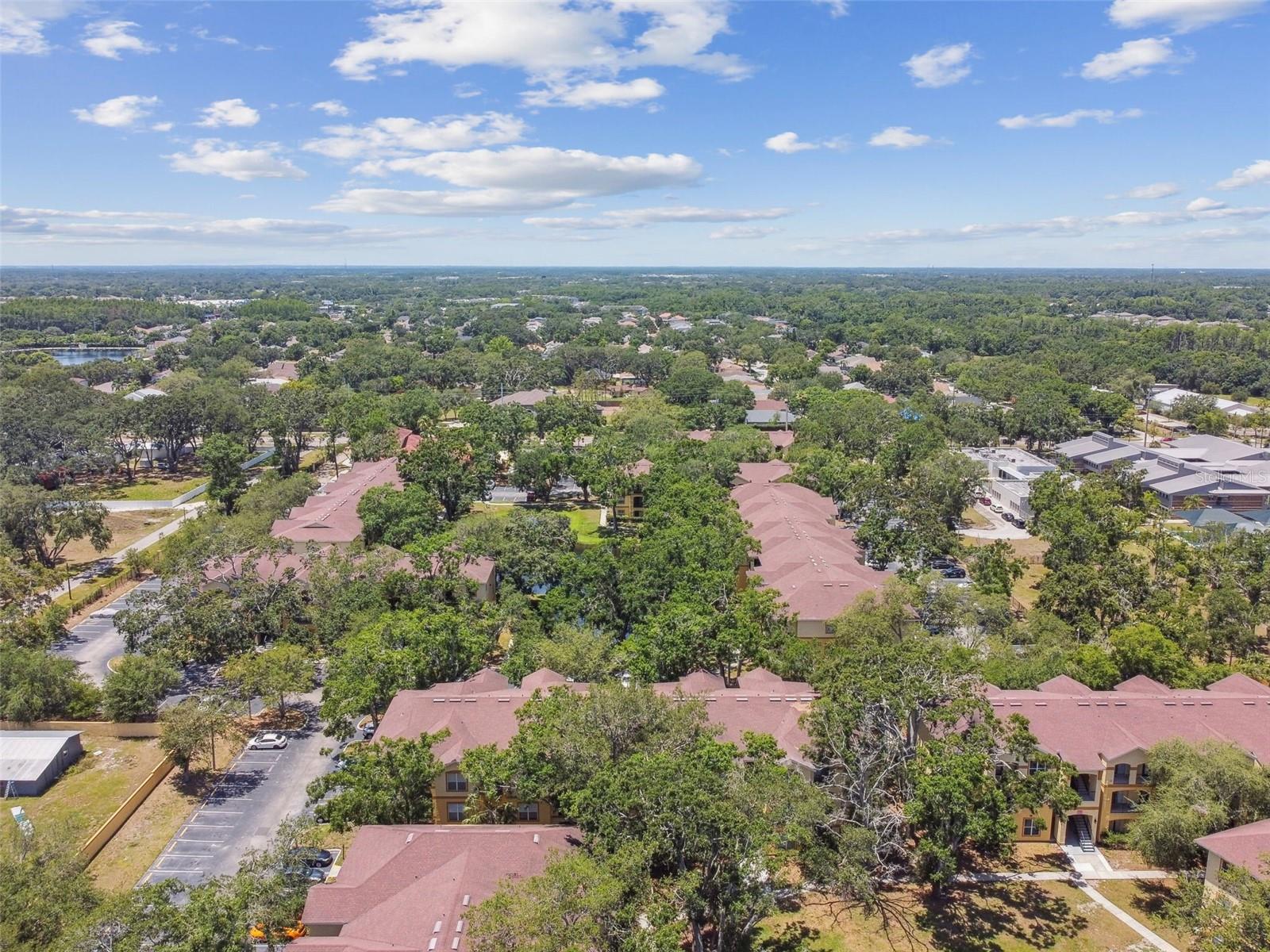 THE PINNACLE AT CARROLLWOOD A - Residential