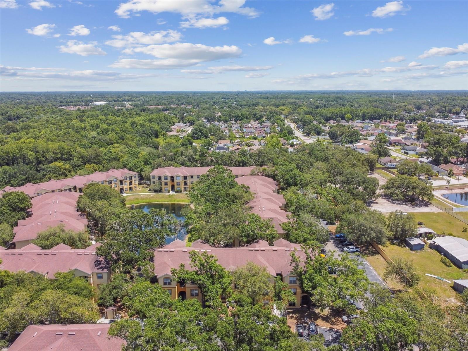 THE PINNACLE AT CARROLLWOOD A - Residential
