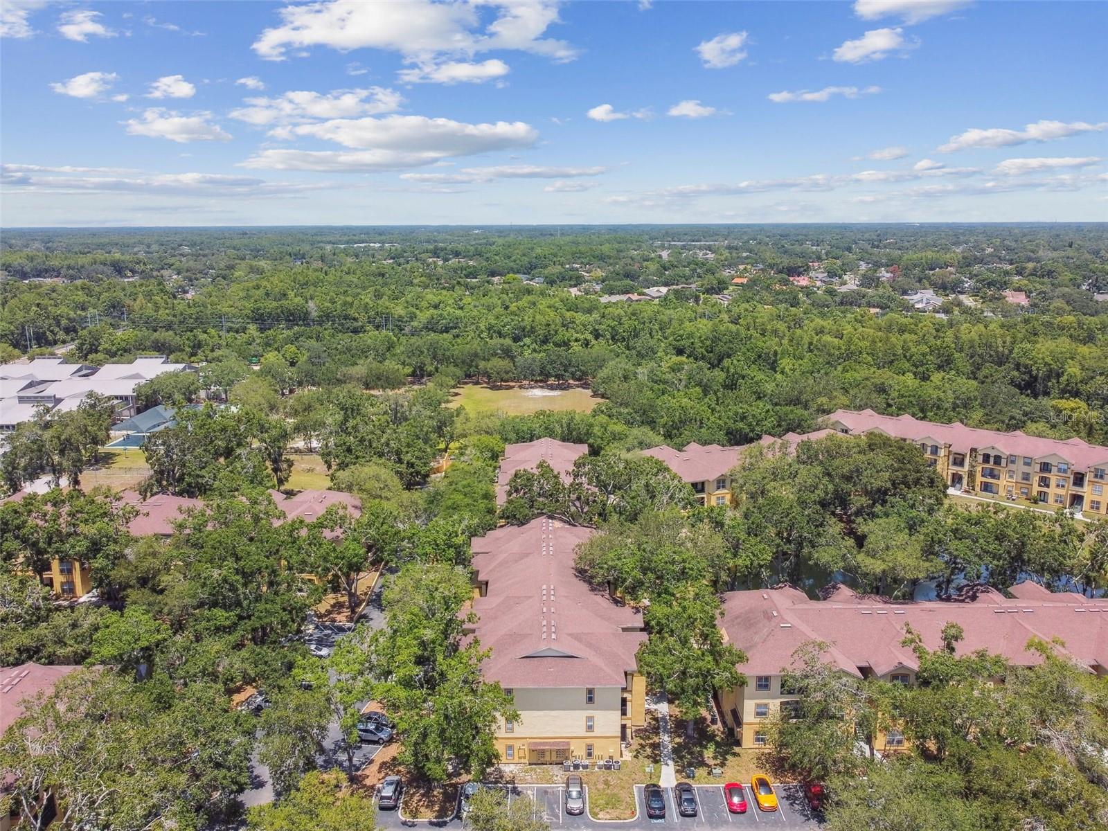 THE PINNACLE AT CARROLLWOOD A - Residential