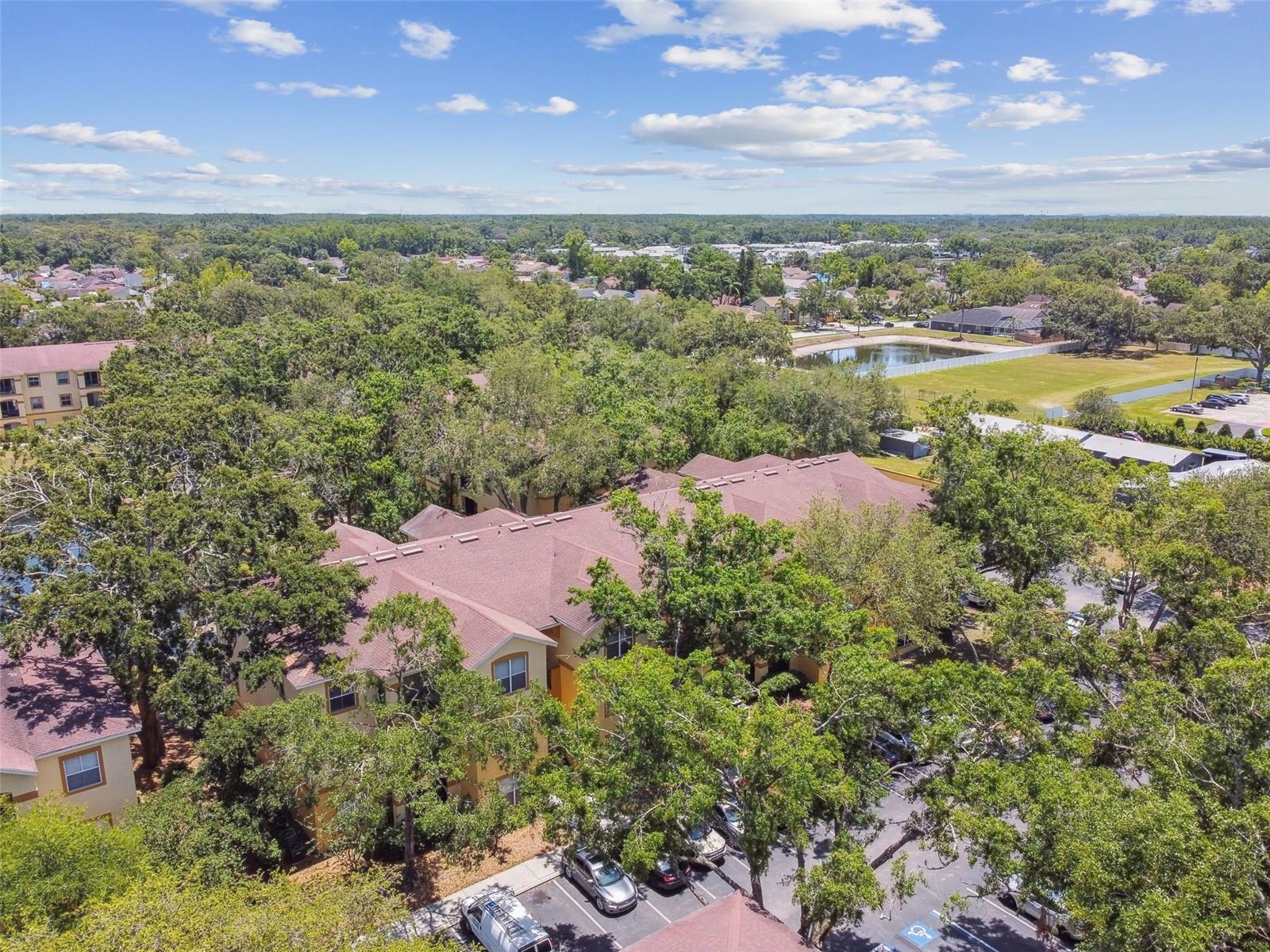 THE PINNACLE AT CARROLLWOOD A - Residential