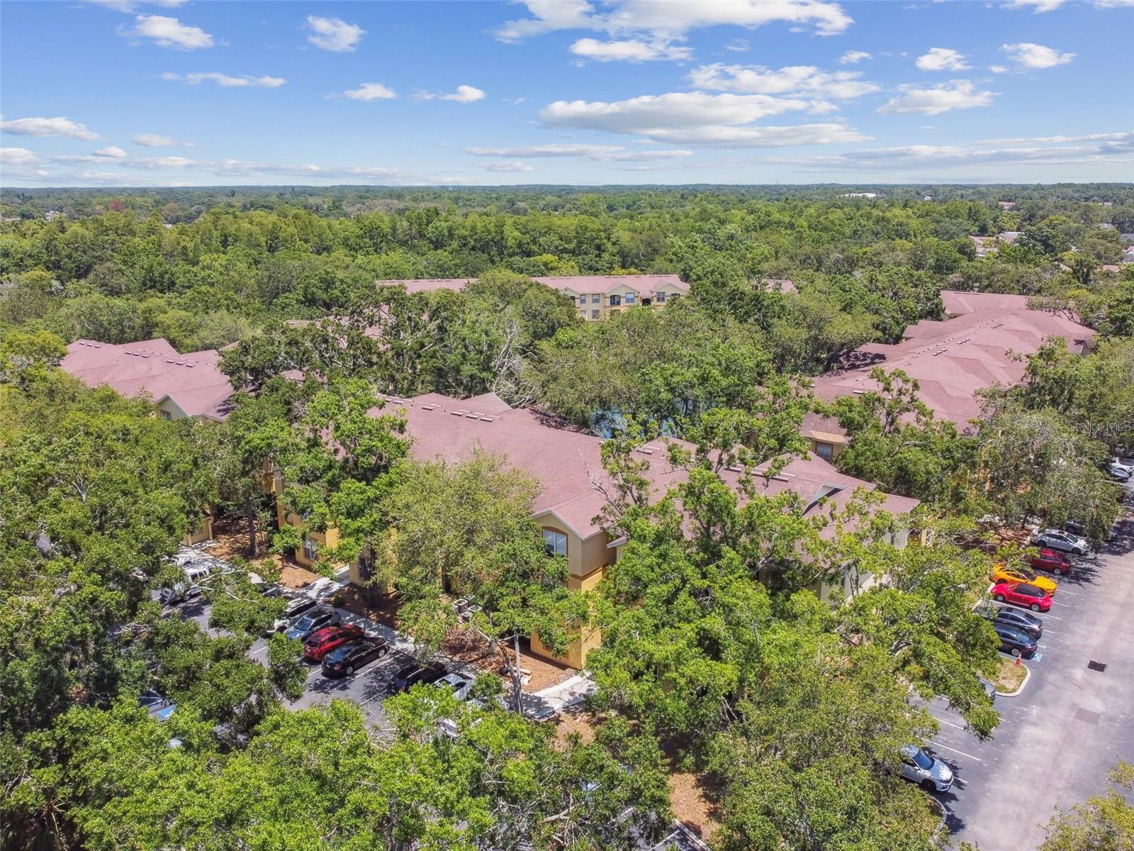 THE PINNACLE AT CARROLLWOOD A - Residential