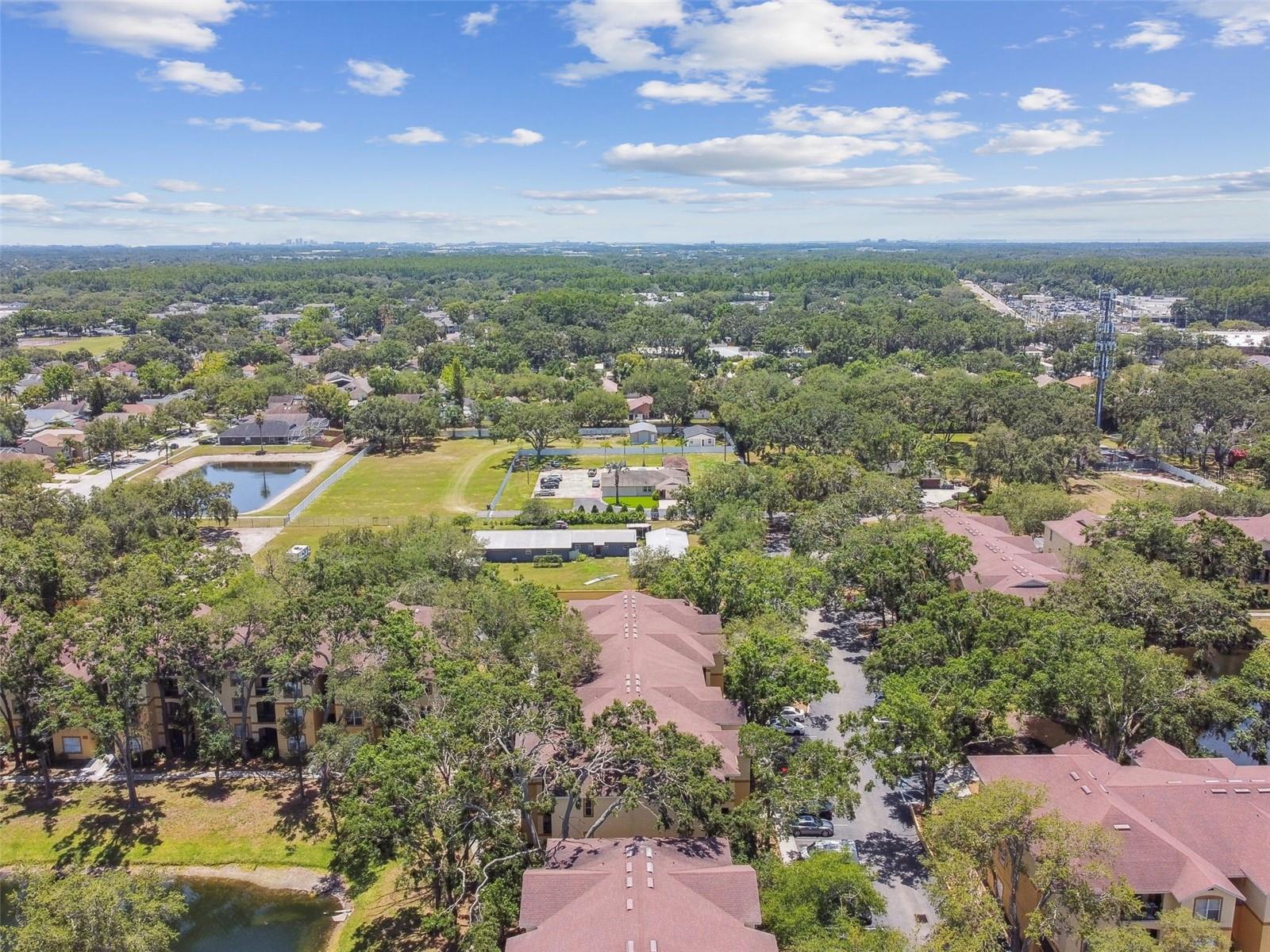 THE PINNACLE AT CARROLLWOOD A - Residential